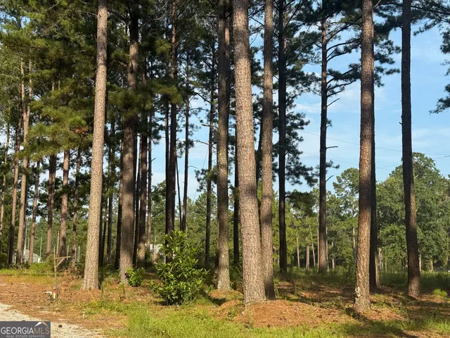 $289,900 | 1550 Adabelle Road South, Register, GA 30452