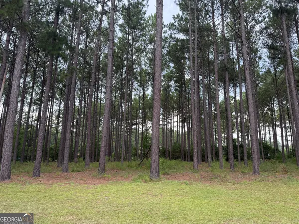 $265,000 | 1550 Adabelle Road South, Register, GA 30452