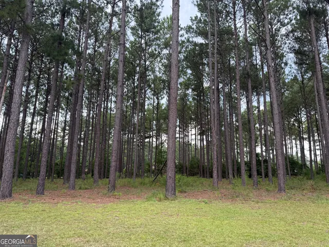 $289,900 | 1550 Adabelle Road South, Register, GA 30452