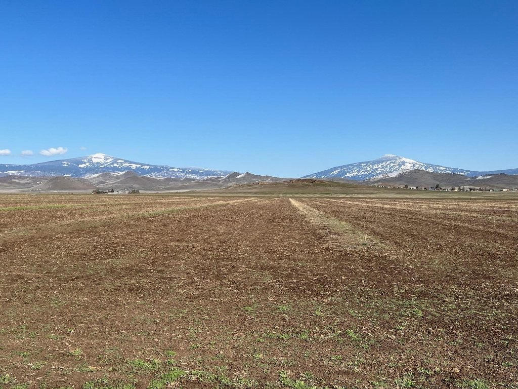 0 Swigart Road Montague, CA 96064 - Photo 4 of 15 Gallery Image 4