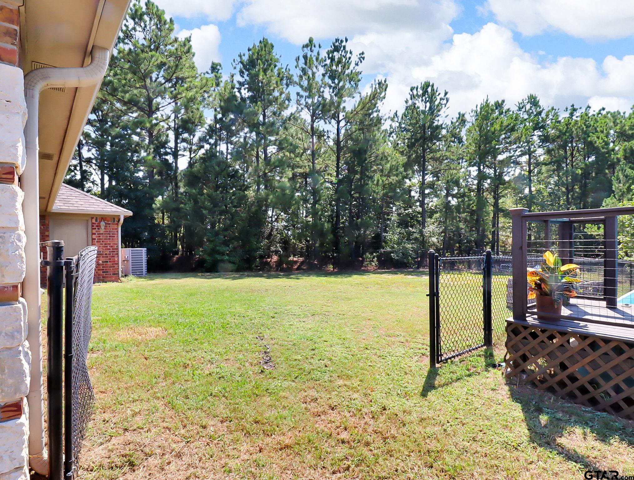 307 Roesch Road Hallsville, TX 75650 - Photo 34 of 40 a view of a garden from a balcony