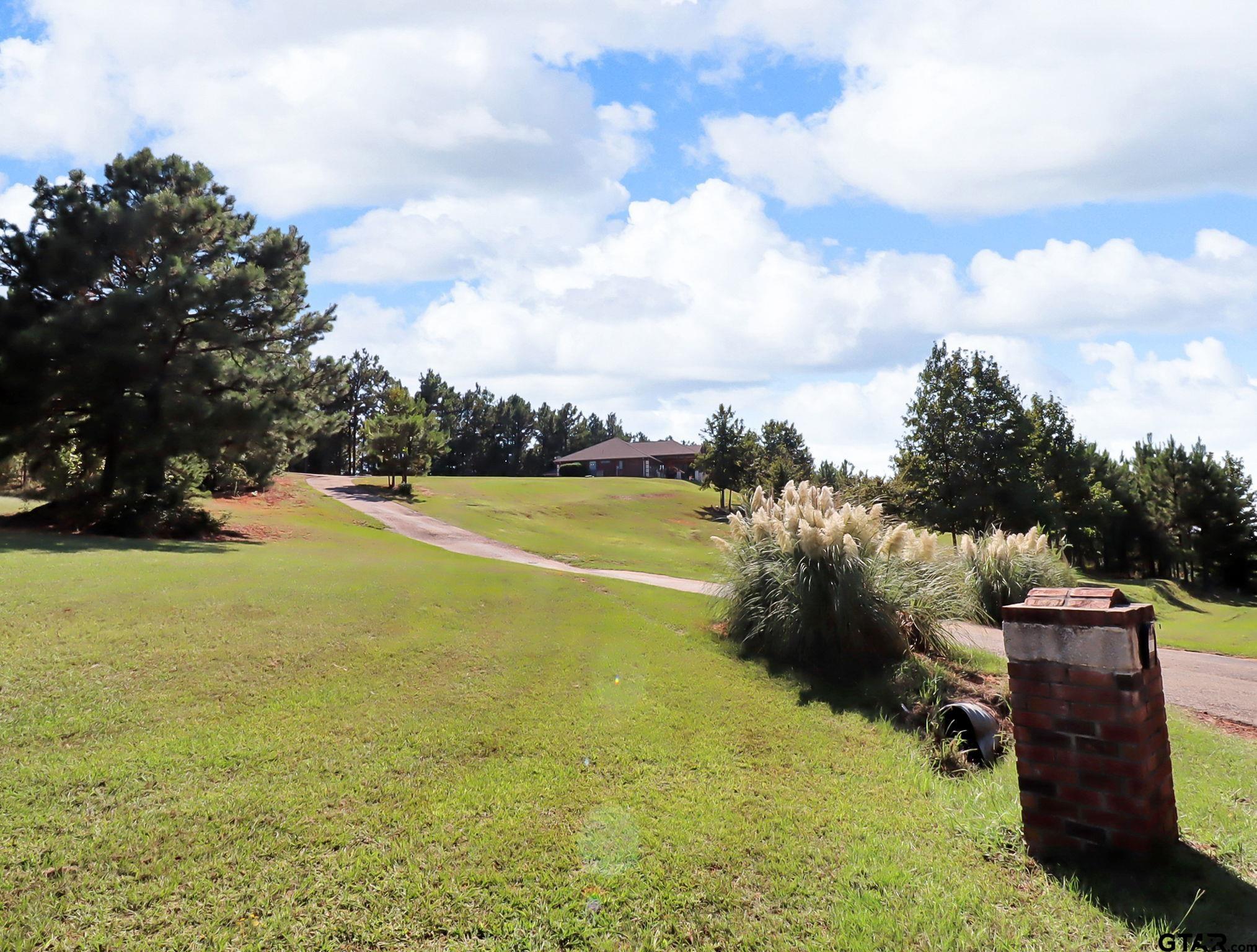 307 Roesch Road Hallsville, TX 75650 - Photo 38 of 40 a view of an ocean and beach
