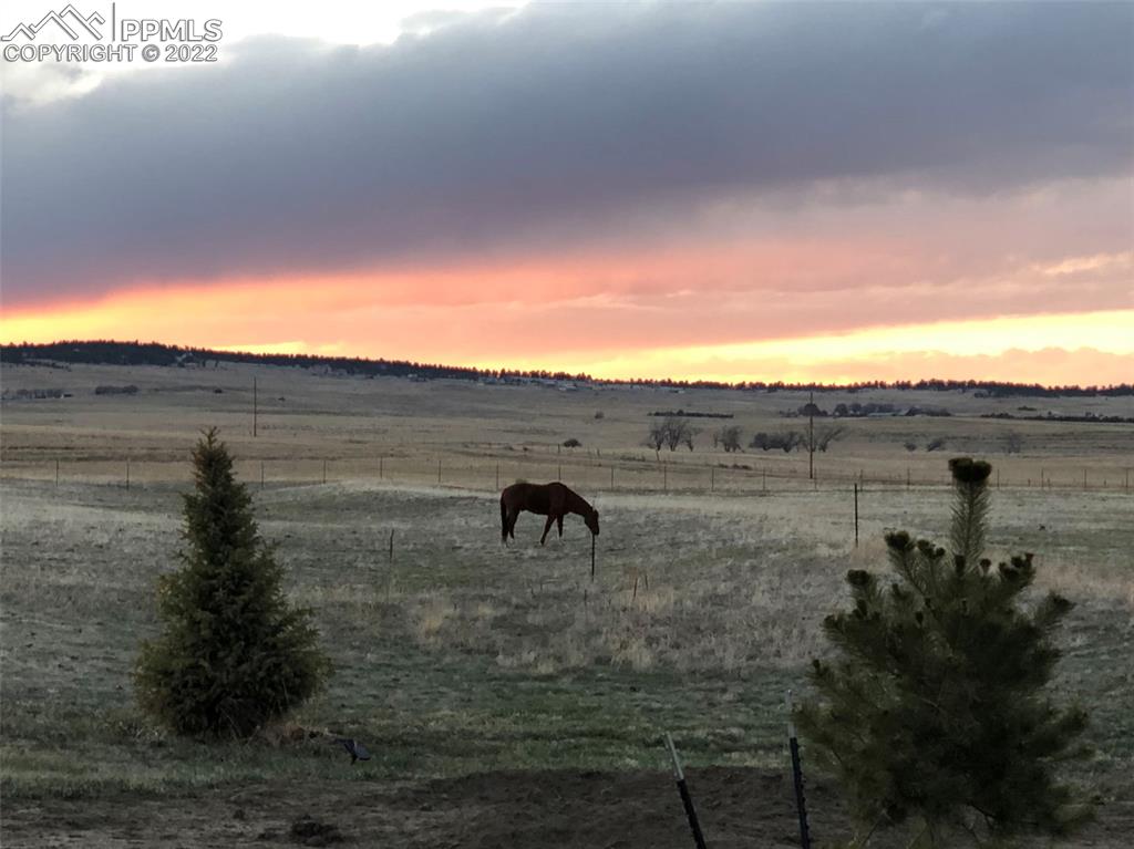 24335 Sweet Road Calhan, CO 80808 - Photo 39 of 39 a view of outdoor space and yard