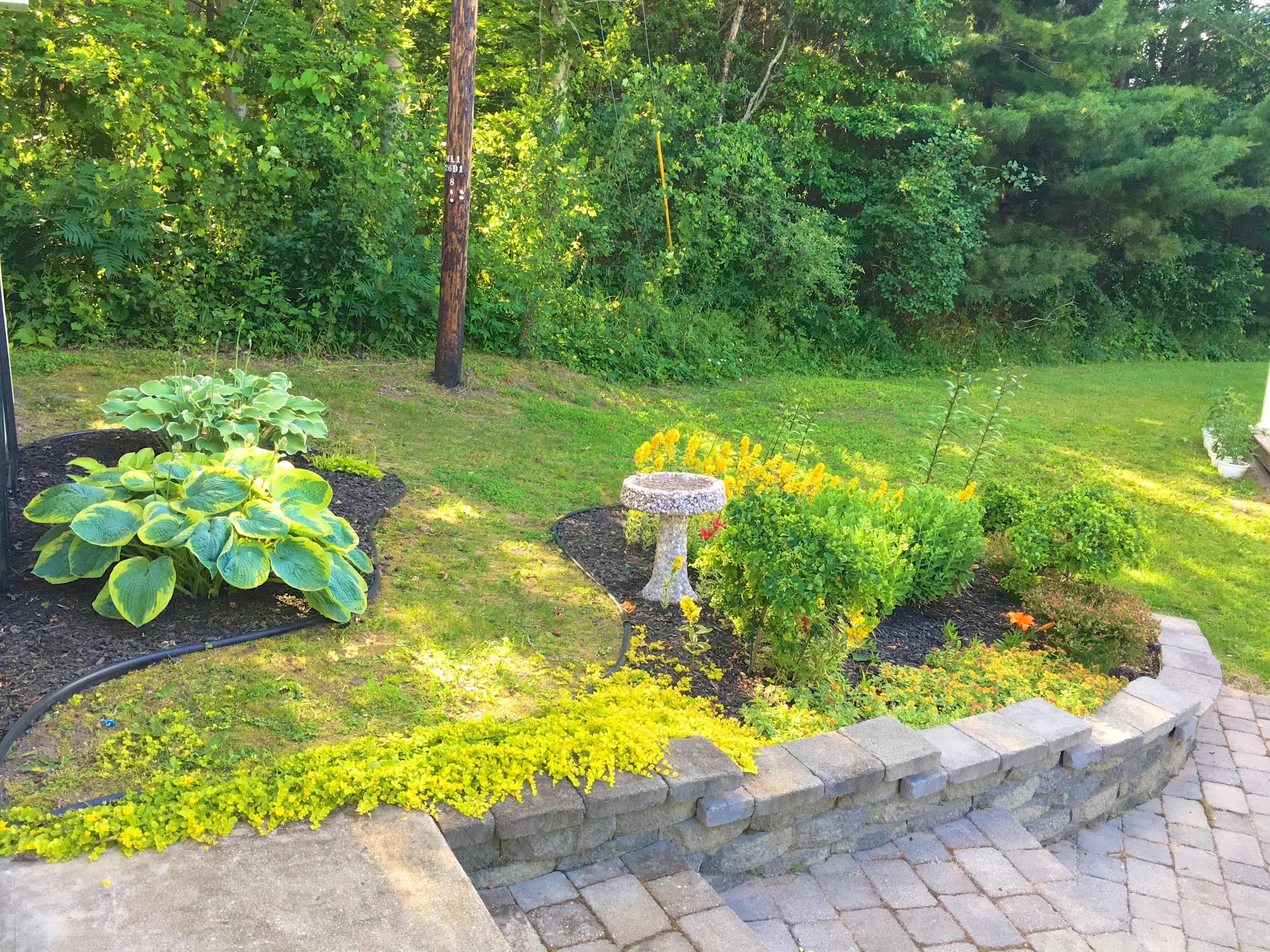 5116 Stoll Road Cheboygan, MI 49721 - Photo 5 of 49 Gallery Image 5