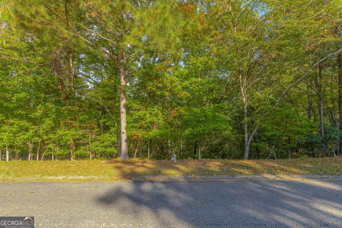 6060 Rockingham Way Gainesville, GA 30506 - Photo 1 of 1 Gallery Image 1