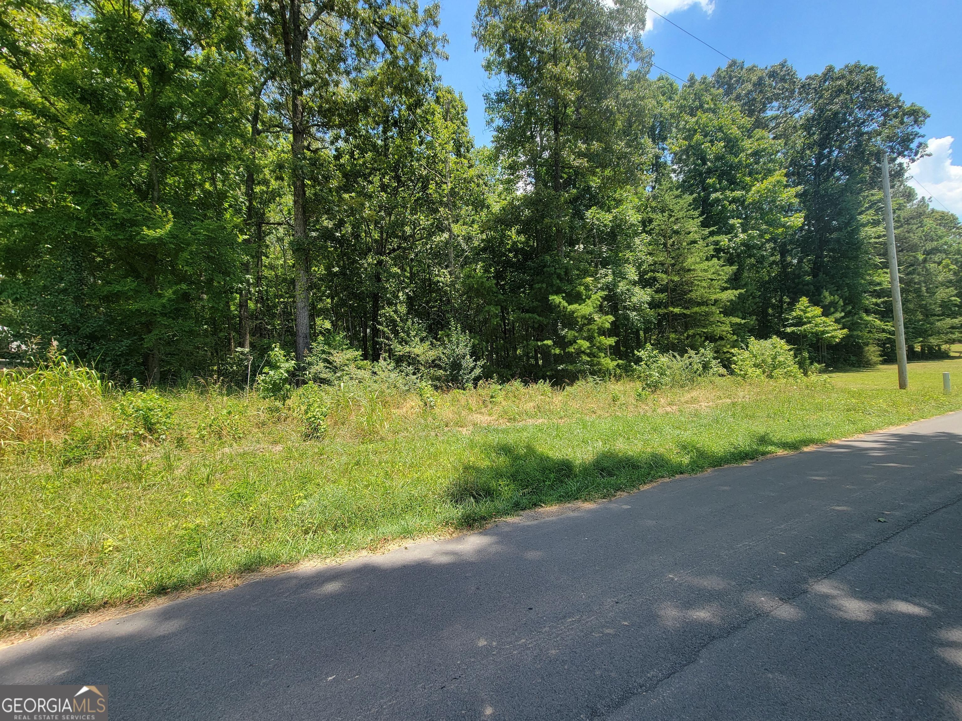 0 Packer Dairy Road Summerville, GA 30747 - Photo 1 of 1 Gallery Image 1