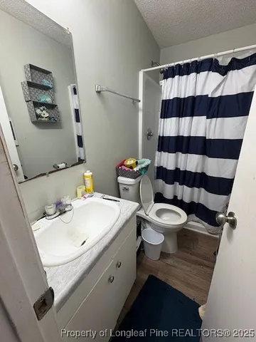 a bathroom with a sink a toilet and shower curtain