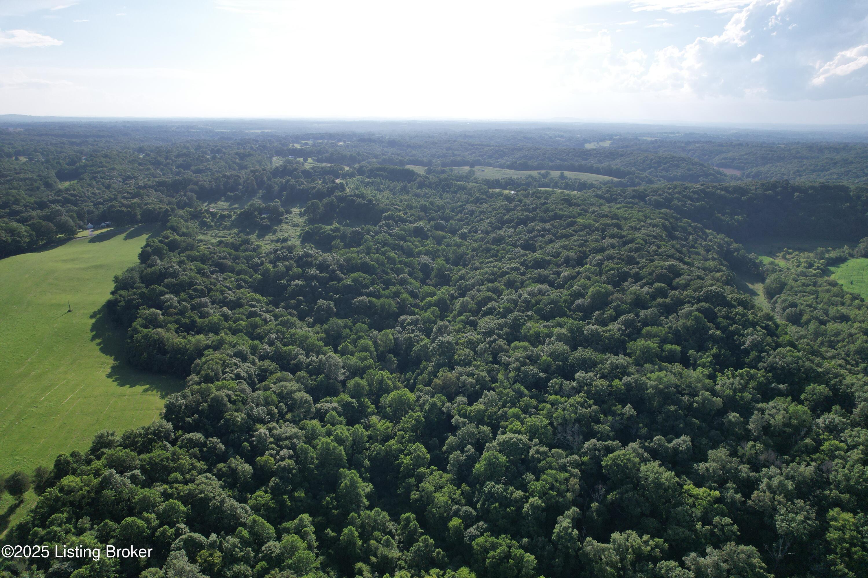 847 Locust Grove Road Greensburg, KY 42743 - Photo 52 of 68 DJI_0059