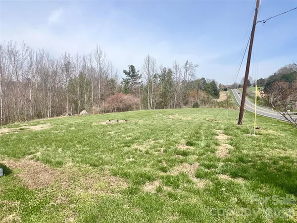 a view of a field with a tree in the background