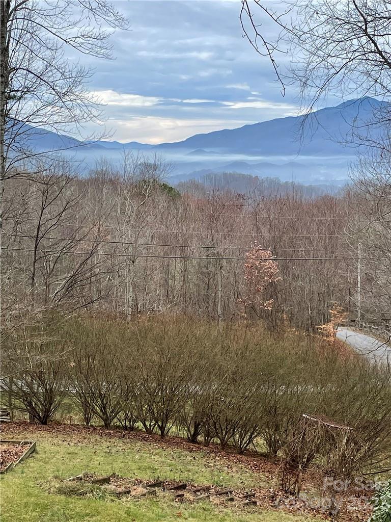 945 Brandywine Road Waynesville, NC 28786 - Photo 21 of 33 Gallery Image 21