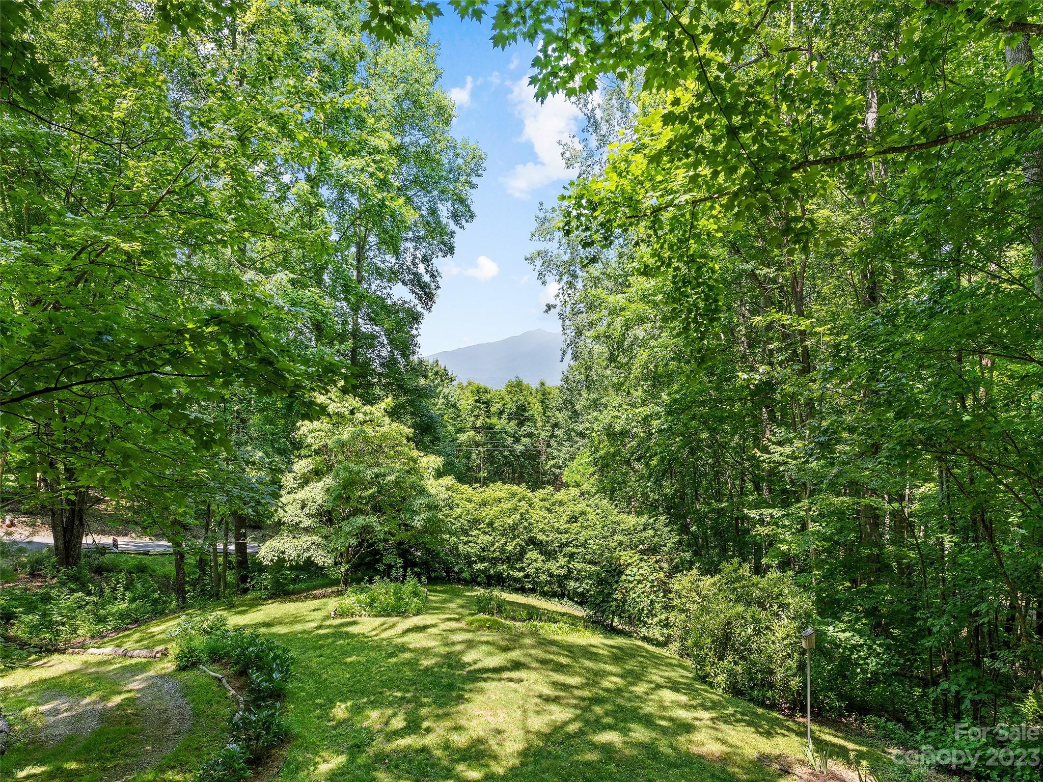 945 Brandywine Road Waynesville, NC 28786 - Photo 5 of 33 Gallery Image 5