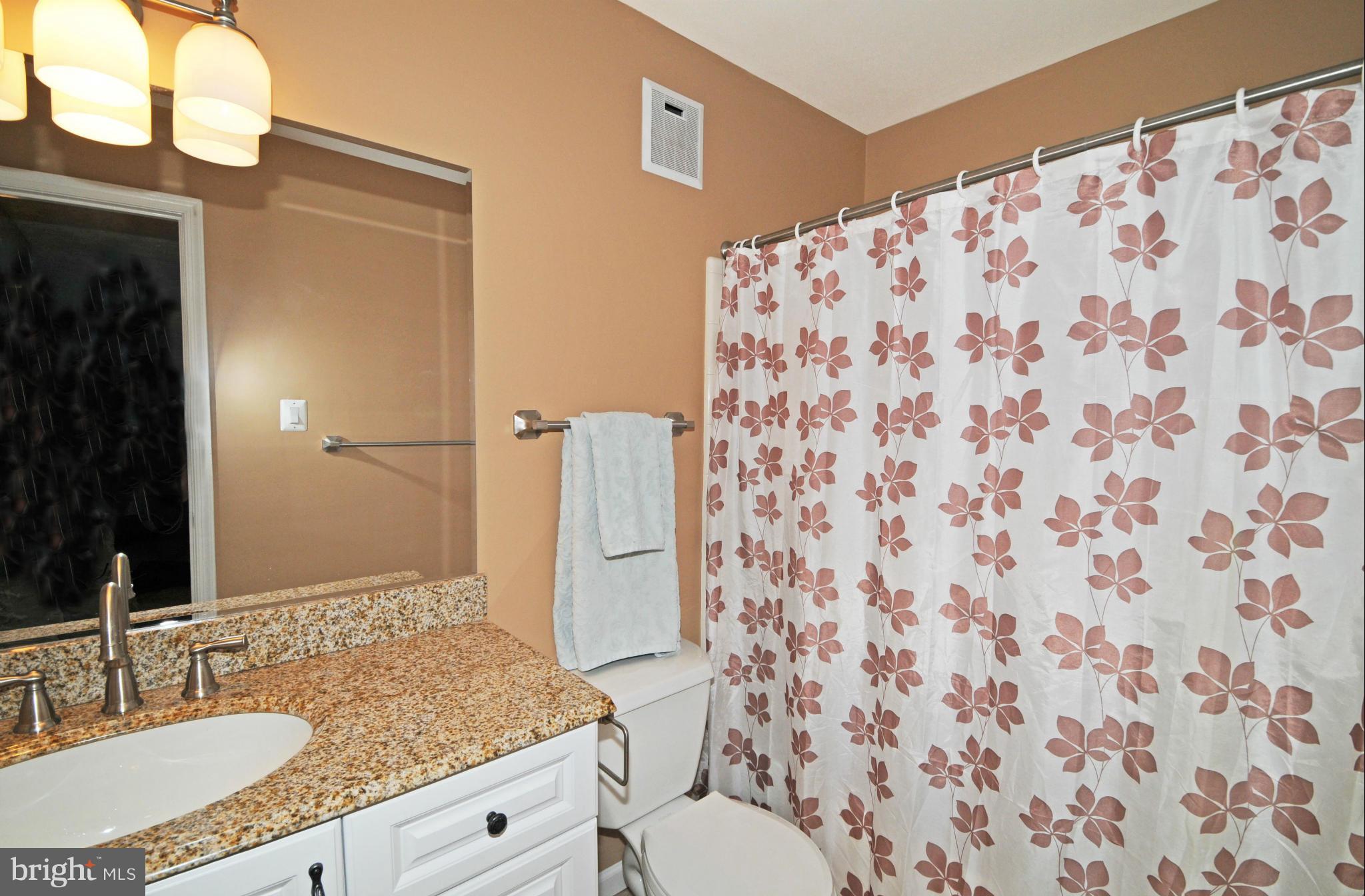 10125 Oakton Terrace Road, Unit 10125 Oakton, VA 22124 - Photo 23 of 30 VANITY, GRANITE, SINK, FAUCETS, TILE FLOOR 2013