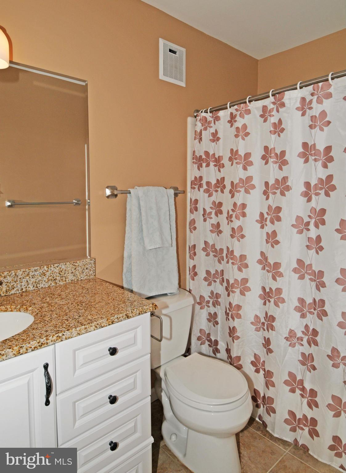 10125 Oakton Terrace Road, Unit 10125 Oakton, VA 22124 - Photo 24 of 30 BATH REFRESHED IN 2013