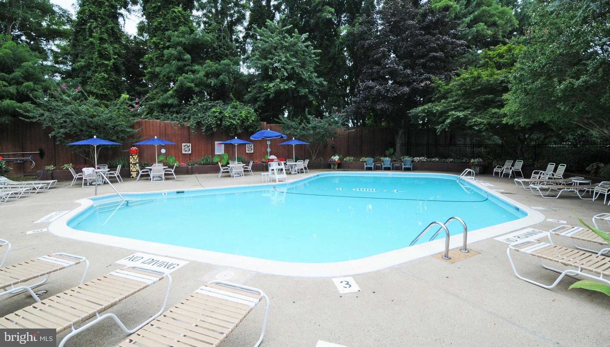10125 Oakton Terrace Road, Unit 10125 Oakton, VA 22124 - Photo 29 of 30 JUST IN TIME TO ENJOY THE TERRIFIC POOL
