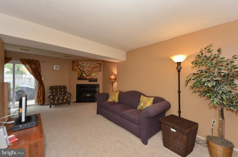 2450 Ridgehampton Court Reston, VA 20191 - Photo 7 of 24 Rec Room