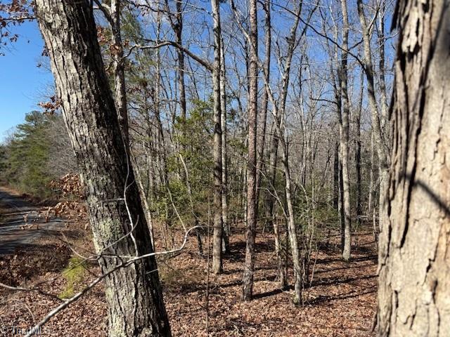 0 Thayer Road Troy, NC 27371 - Photo 3 of 5