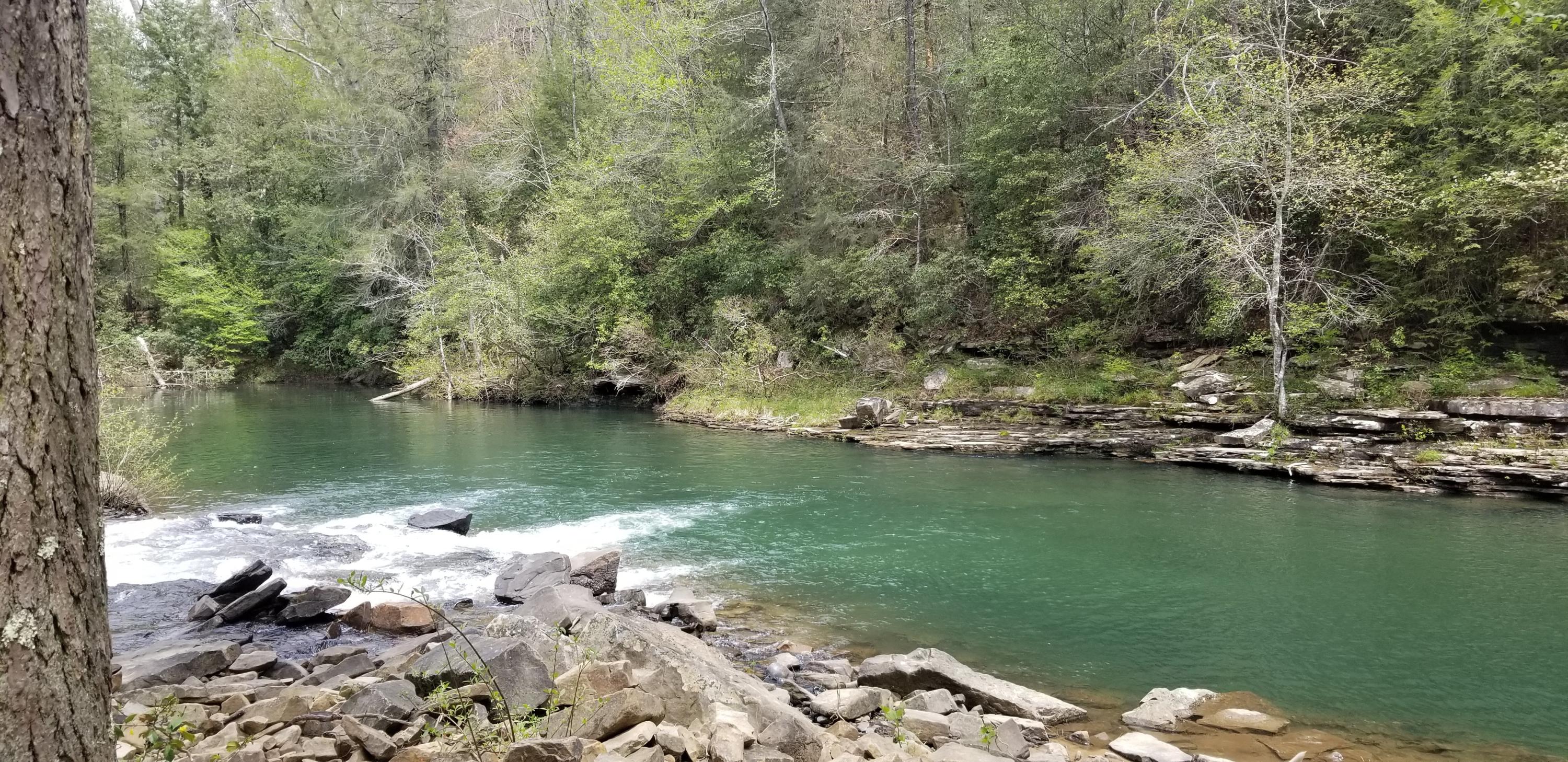 100 Echo Point Road Whitwell, TN 37397 - Photo 1 of 9 20210428_122120