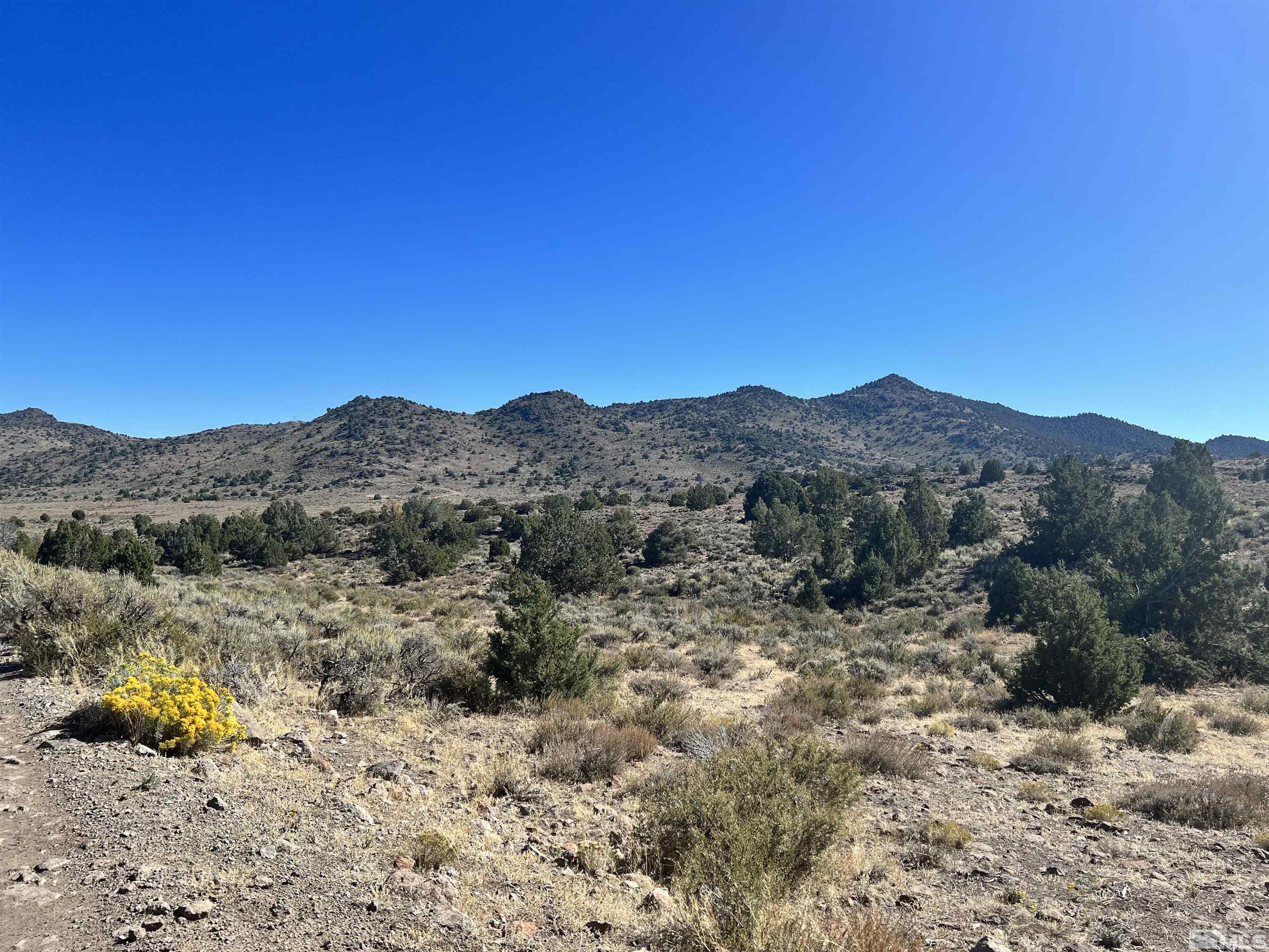 40 South Nw4se4-s36/18n/21e Reno Nv 89521