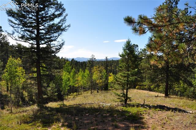 1299 Rangeview Road Divide, CO 80814 - Photo 17 of 22 Gallery Image 17