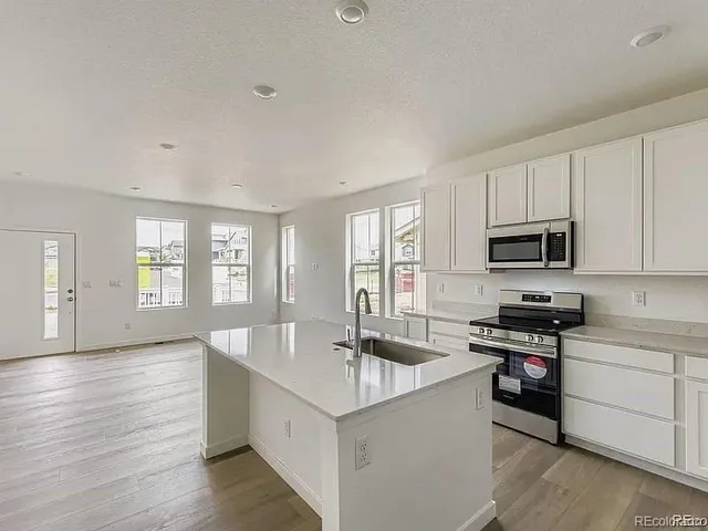 $2,995 | 713 North Carrie Street, Watkins, CO 80137