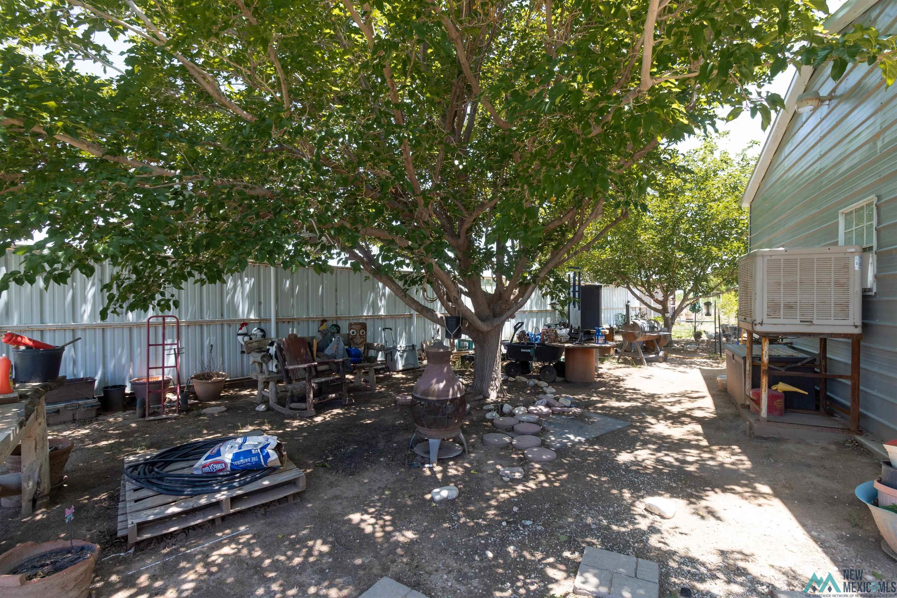 1509 Papershell Road Carlsbad, NM 88220 - Photo 2 of 47 Yard