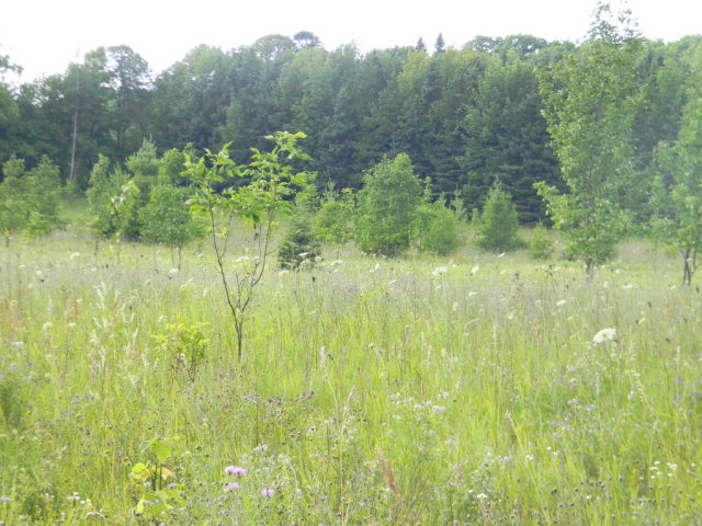 Seaquist Road Sister Bay, WI 54234 - Photo 1 of 1