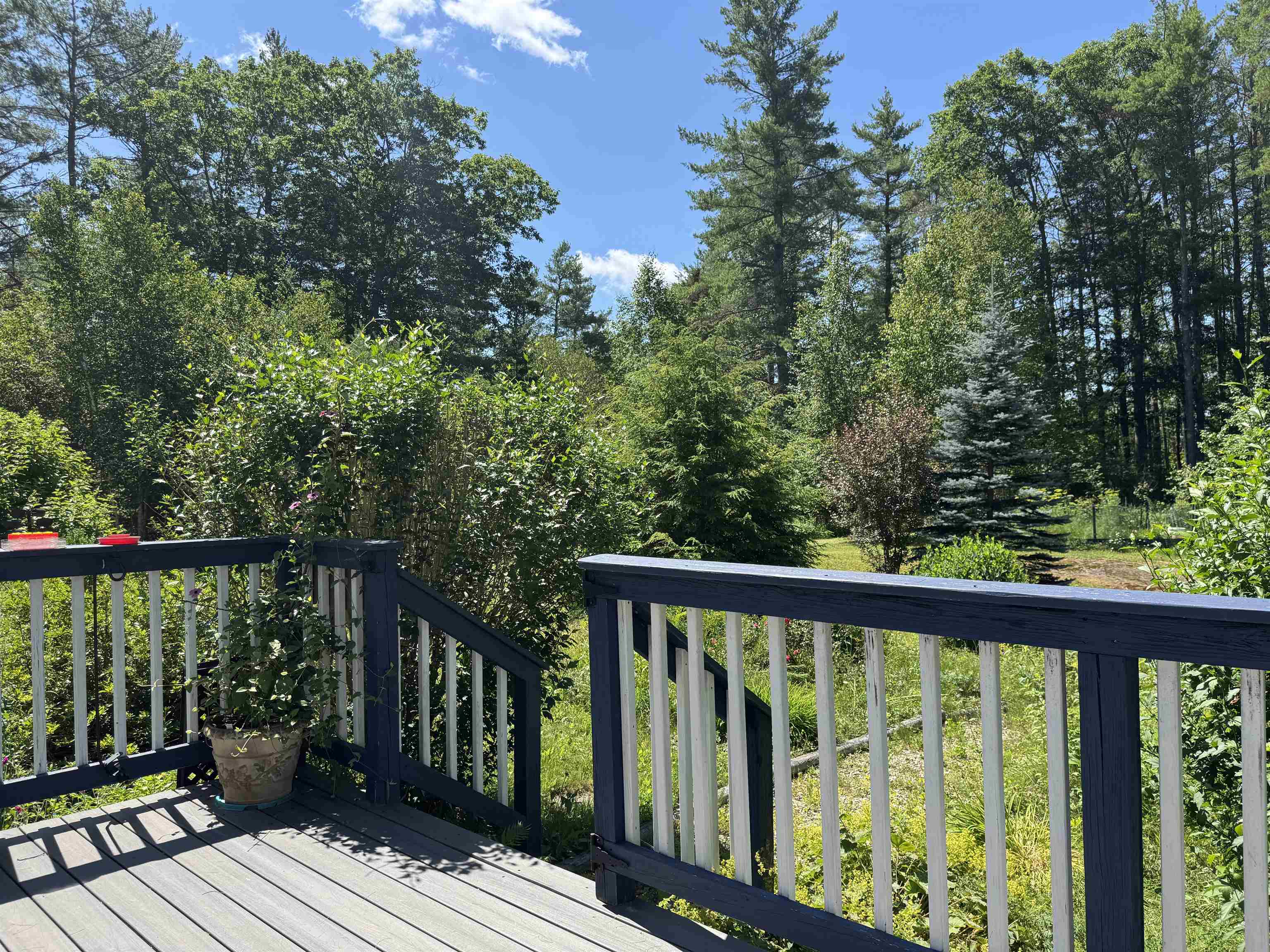 251 Perkins Pond Road Sunapee, NH 03782 - Photo 46 of 59 Gallery Image 46