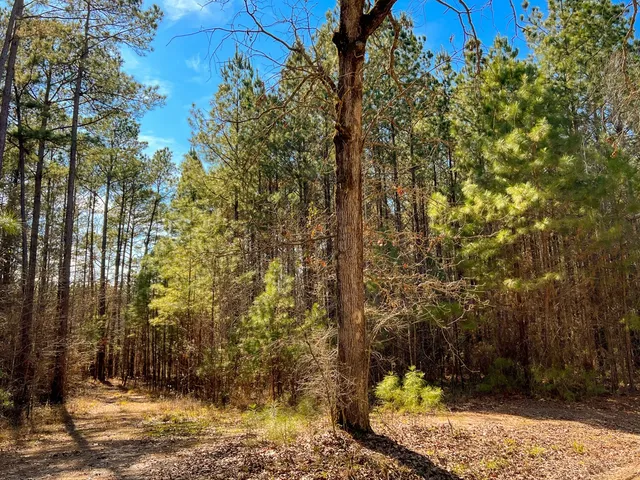 $440,000 | 0 Howell Road, Corrigan, TX 75939