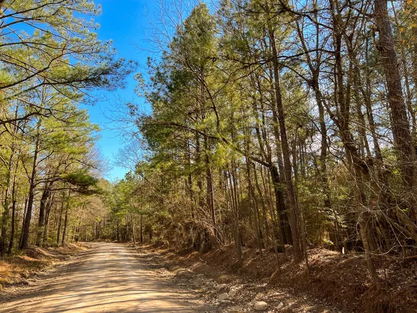 $417,840 | 0 Howell Road, Corrigan, TX 75939
