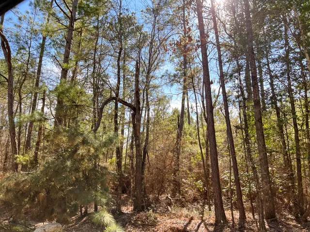 $440,000 | 0 Howell Road, Corrigan, TX 75939