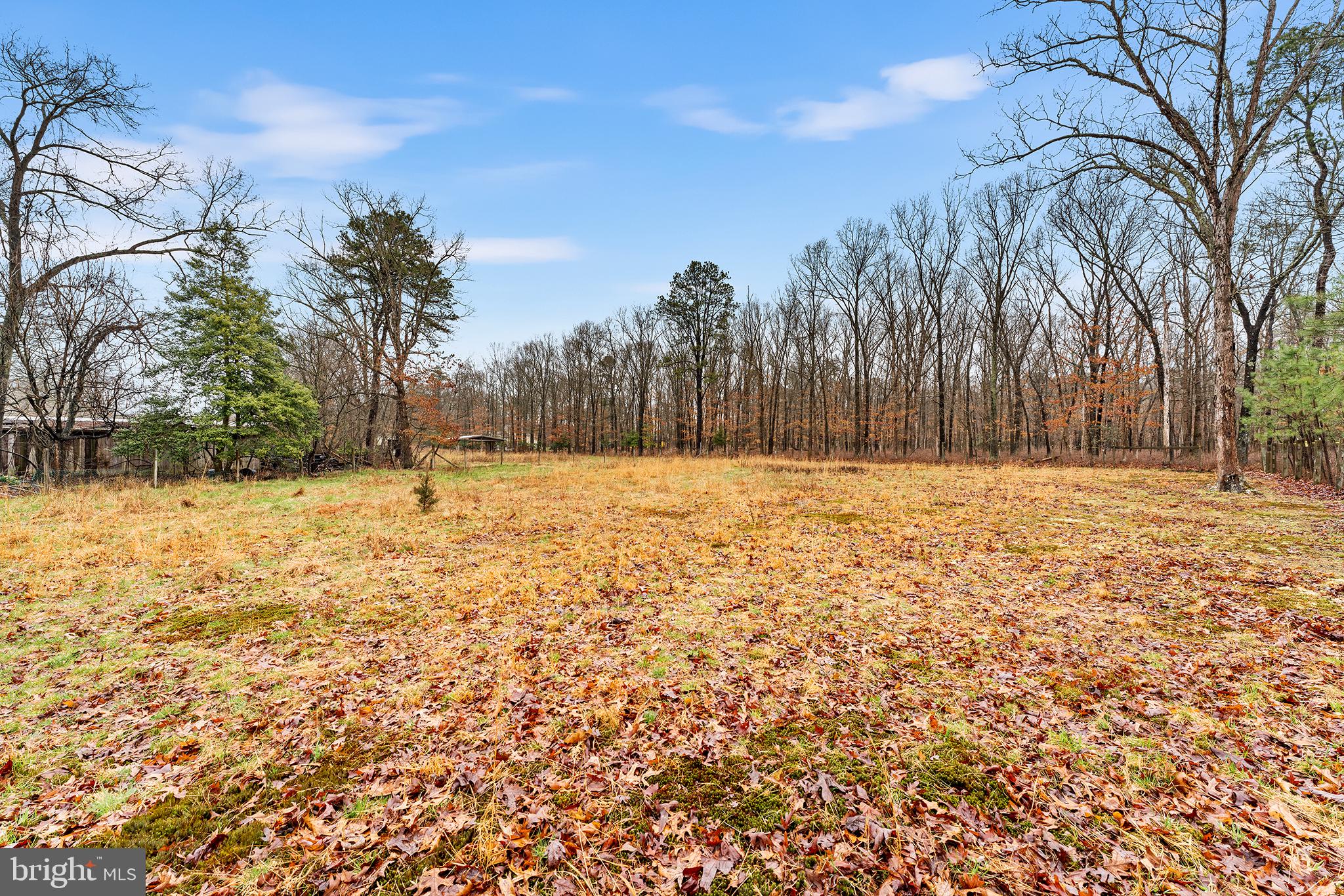1224 Coles Mill Road Williamstown, NJ 08094 - Photo 29 of 30 Gallery Image 29