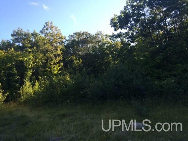 Tbd Centennial Heights Road Calumet, MI 49913 - Photo 9 of 9