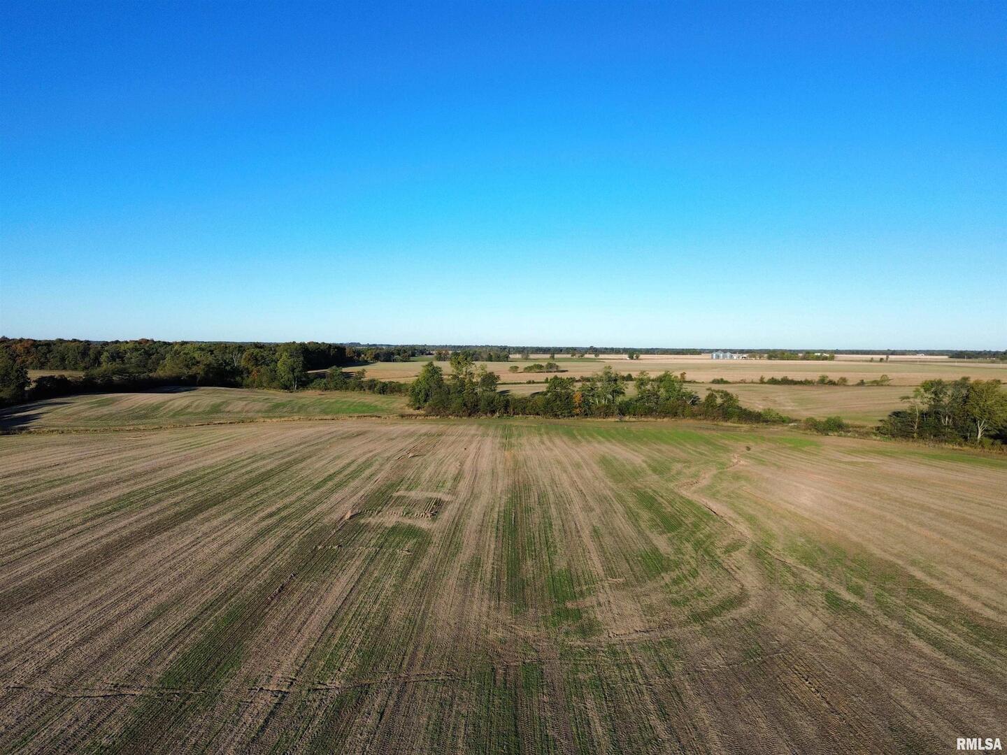 0 County Road 2100 N County Road Cisne, IL 62823 - Photo 5 of 20