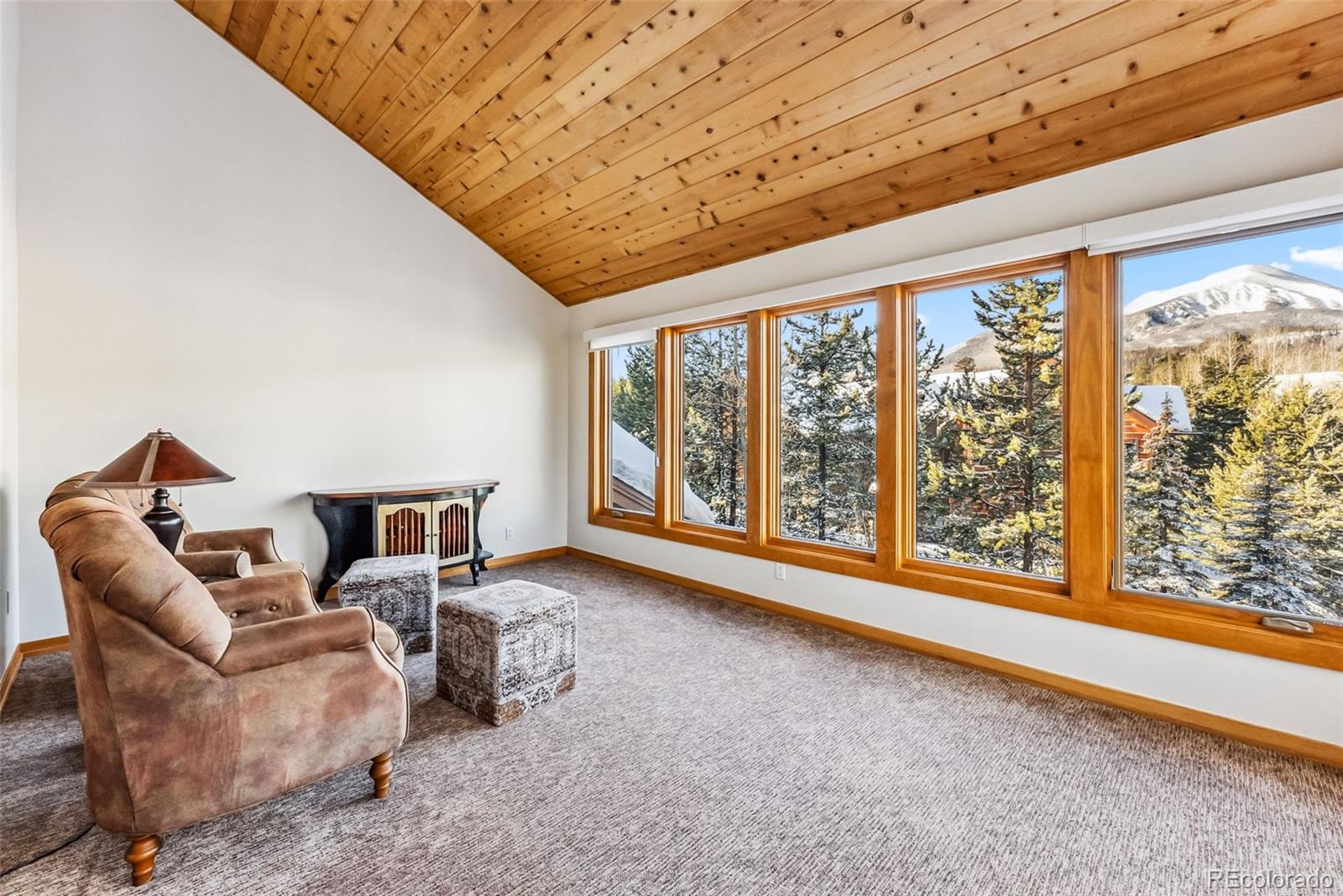 1765 Red Hawk Road Silverthorne, CO 80498 - Photo 21 of 49 Gallery Image 21