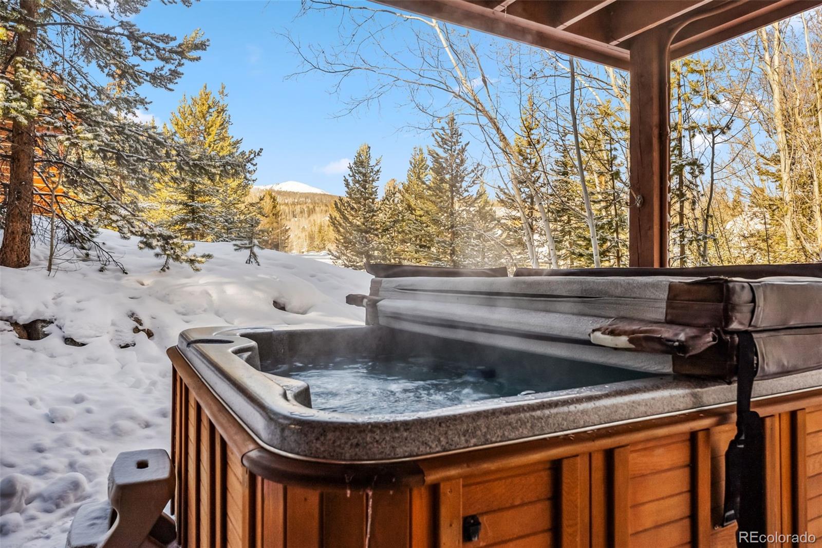 1765 Red Hawk Road Silverthorne, CO 80498 - Photo 40 of 49 Gallery Image 40