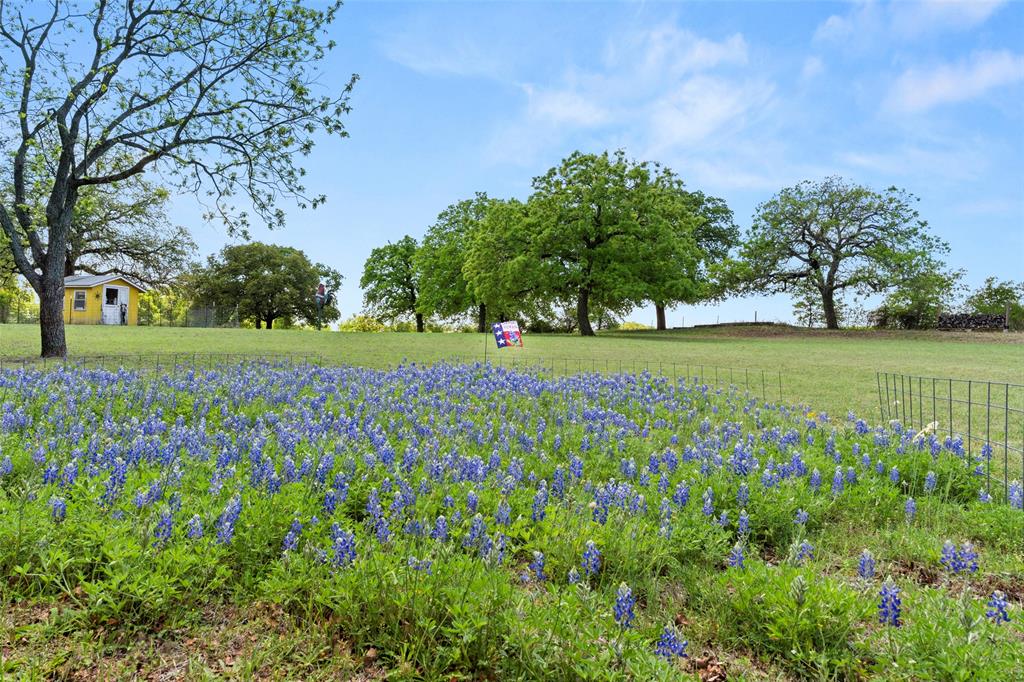 1500 County Road 404 Comanche, TX 76442 - Photo 31 of 39 a view of a golf course with a big yard