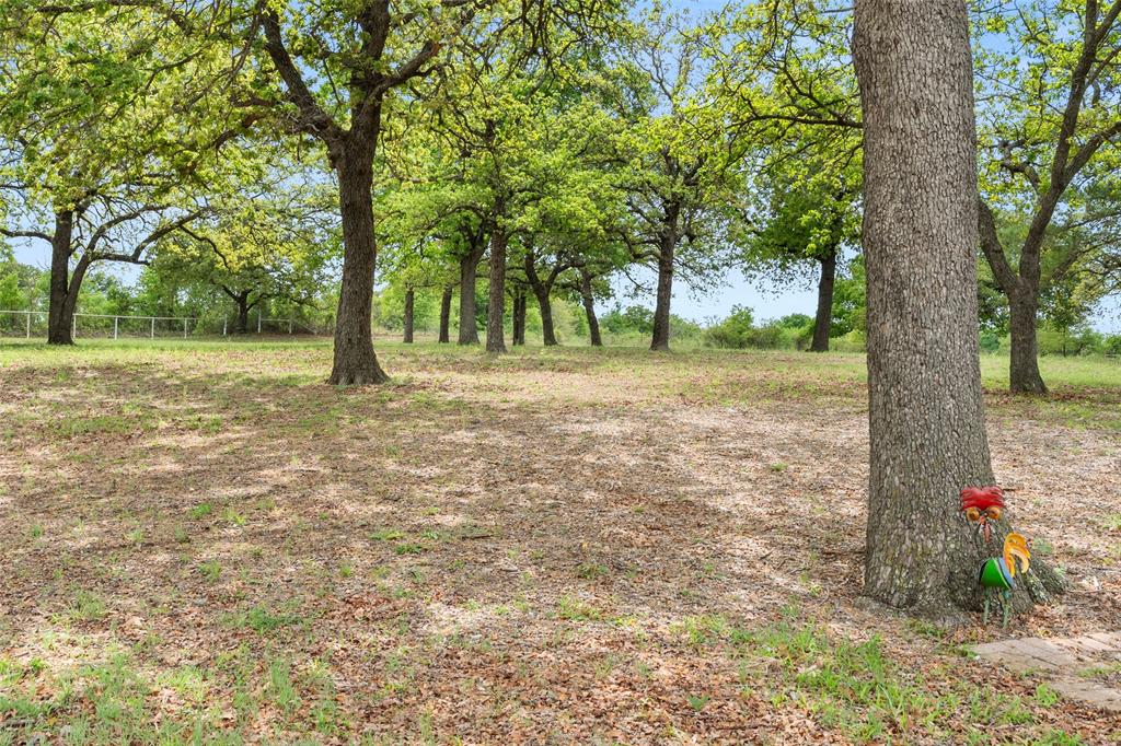 1500 County Road 404 Comanche, TX 76442 - Photo 33 of 39 a backyard of a house with lots of trees