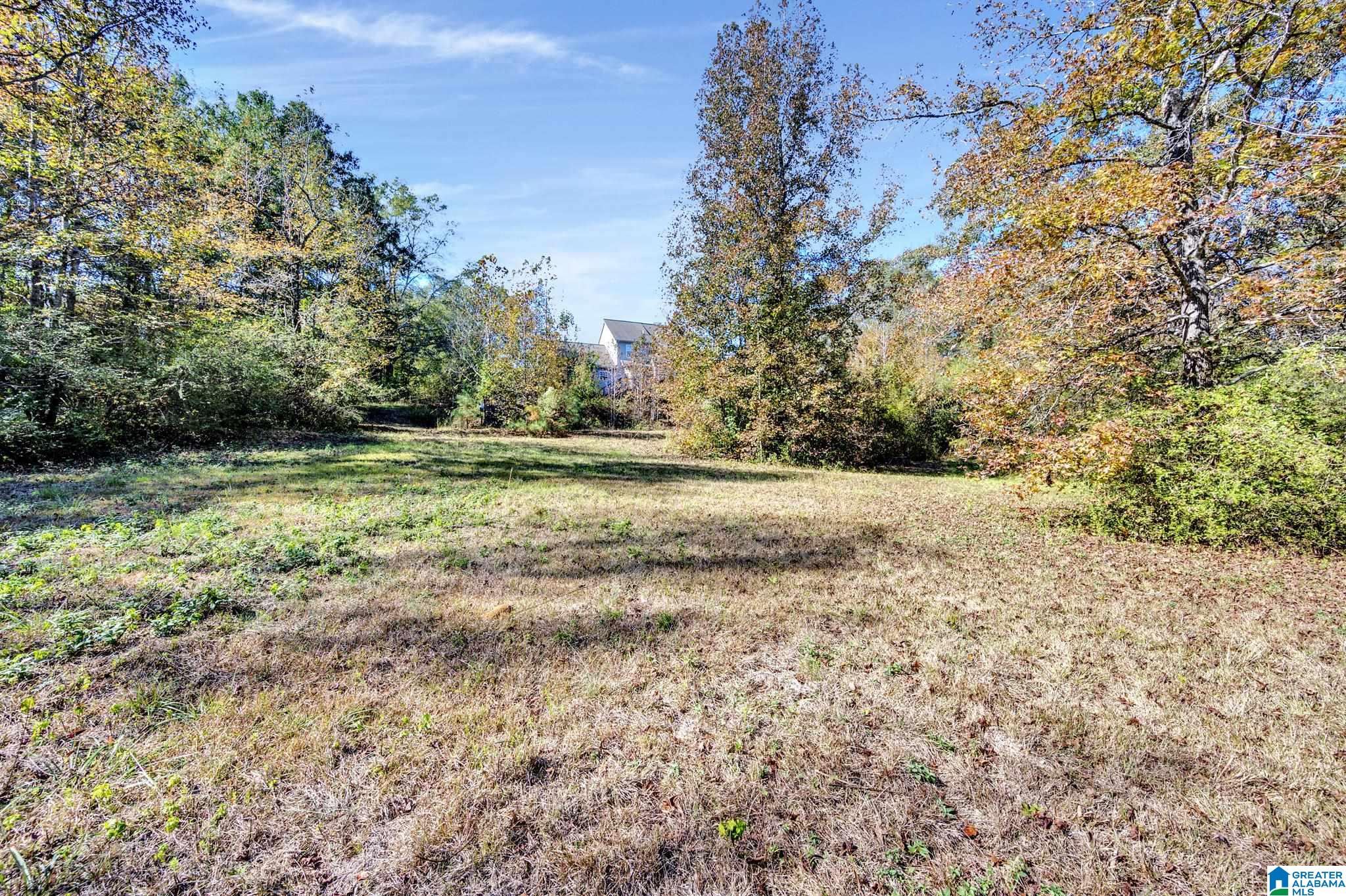9733 Bankston Road Dora, AL 35062 - Photo 39 of 40