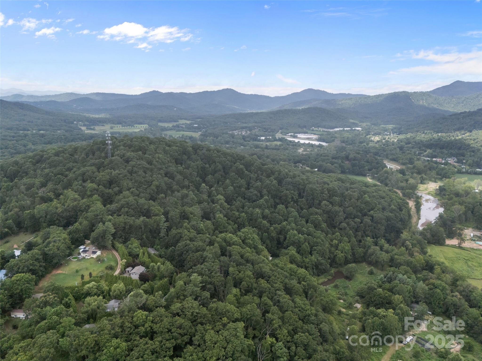 127 Franklin Road Swannanoa, NC 28778 - Photo 9 of 41