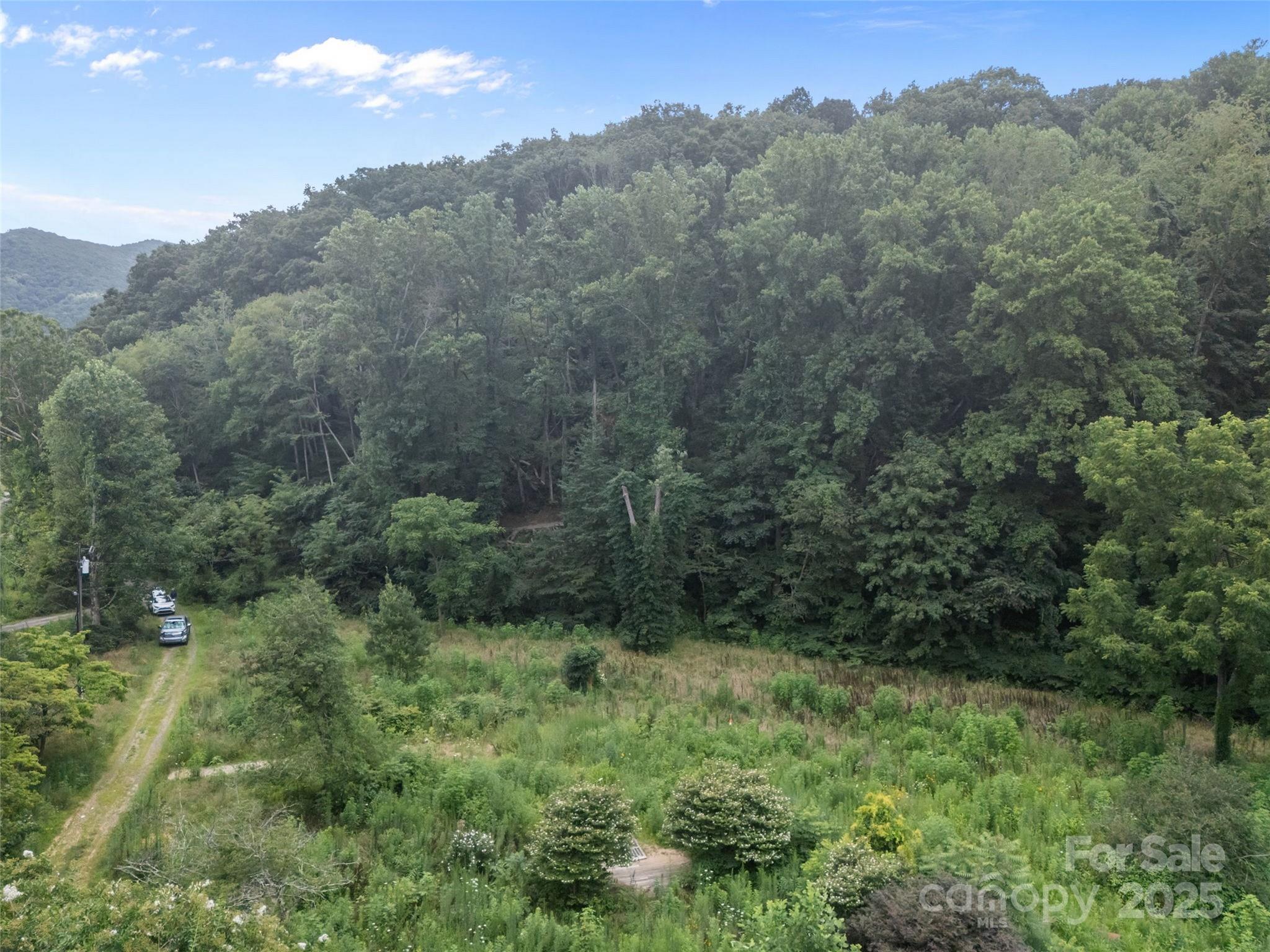 127 Franklin Road Swannanoa, NC 28778 - Photo 10 of 41