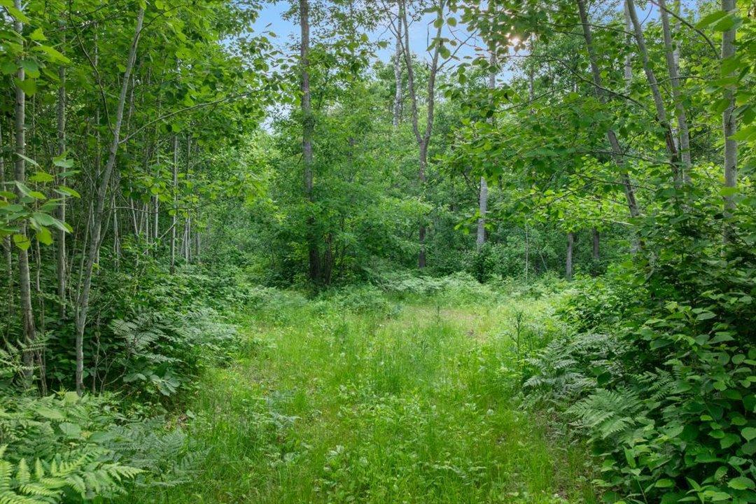 Tbd Mitchell Road Nisswa, MN 56468 - Photo 21 of 22