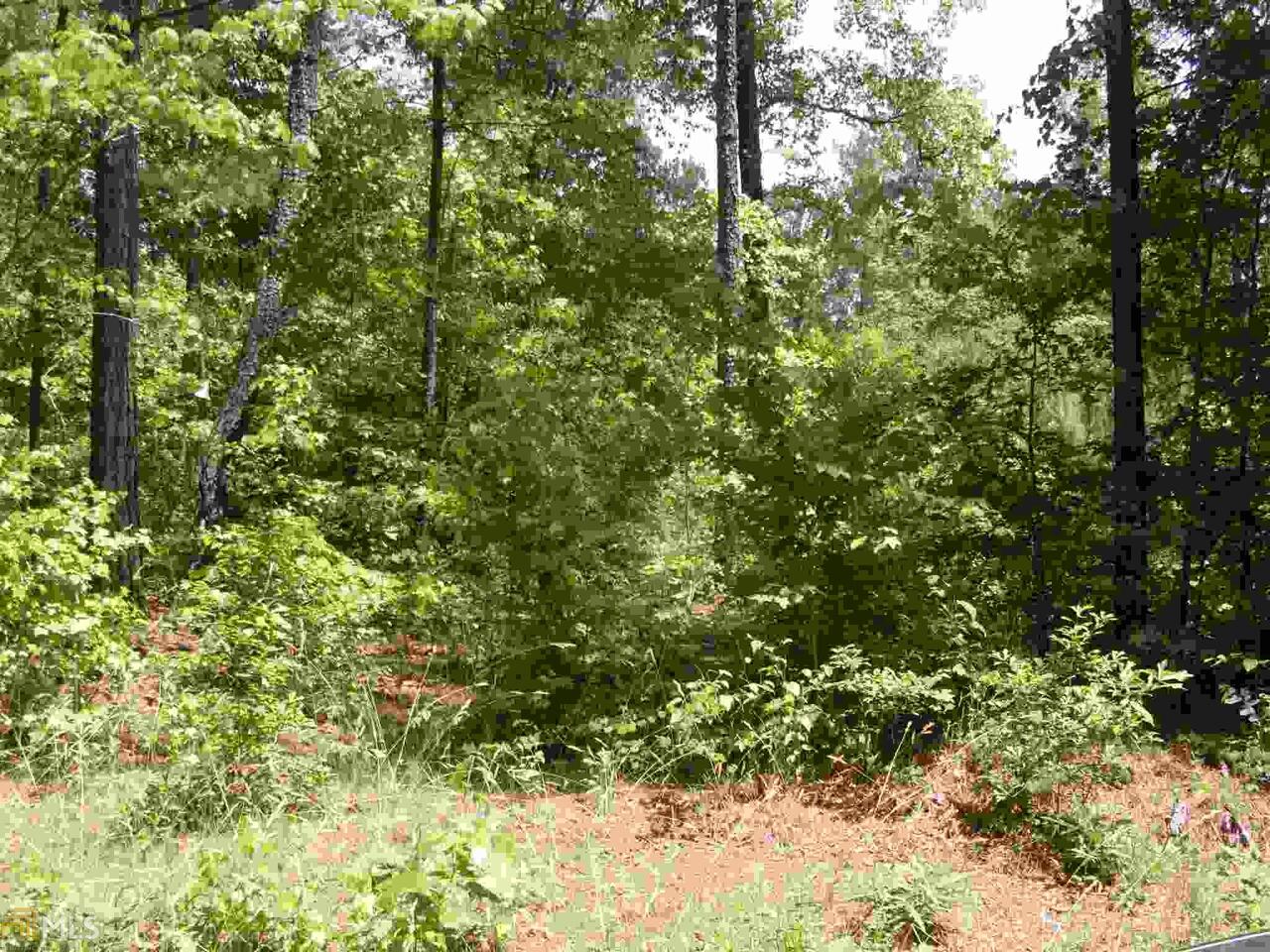 0 Witcher Road, Unit PARCEL A Newnan, GA 30263 - Photo 1 of 1