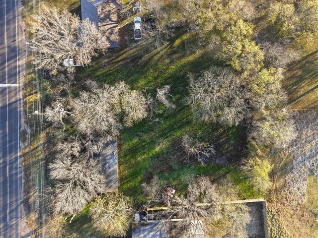 a view of a lake with a tree