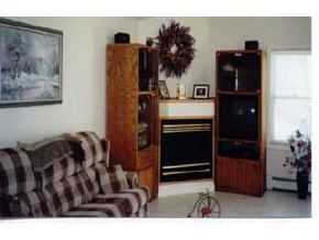 9 Breezy Point Road, Unit 9 Antrim, NH 03440 - Photo 4 of 6
