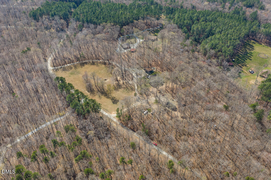 4739 Wild Azalea Place Rougemont, NC 27572 - Photo 42 of 48 a view of a dry yard with trees