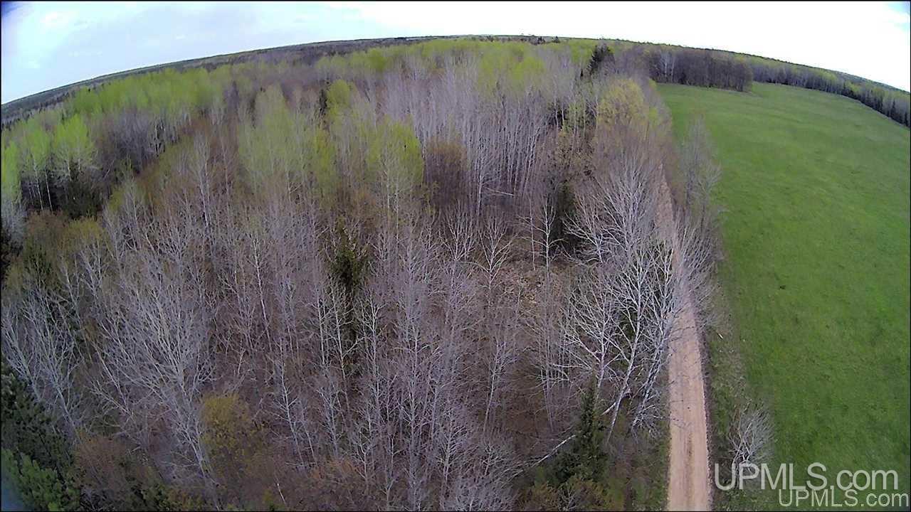 Tbd Tbd Co Road, Unit 1 Marquette, MI 49855 - Photo 23 of 50