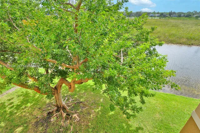 a view of a lake with a yard