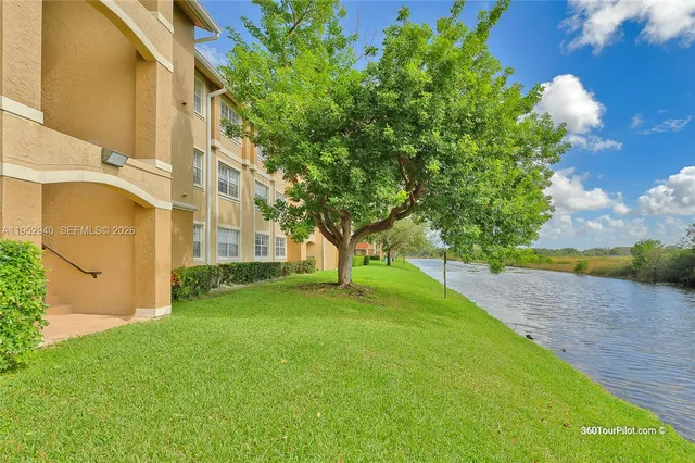 a view of a yard with plants and large trees