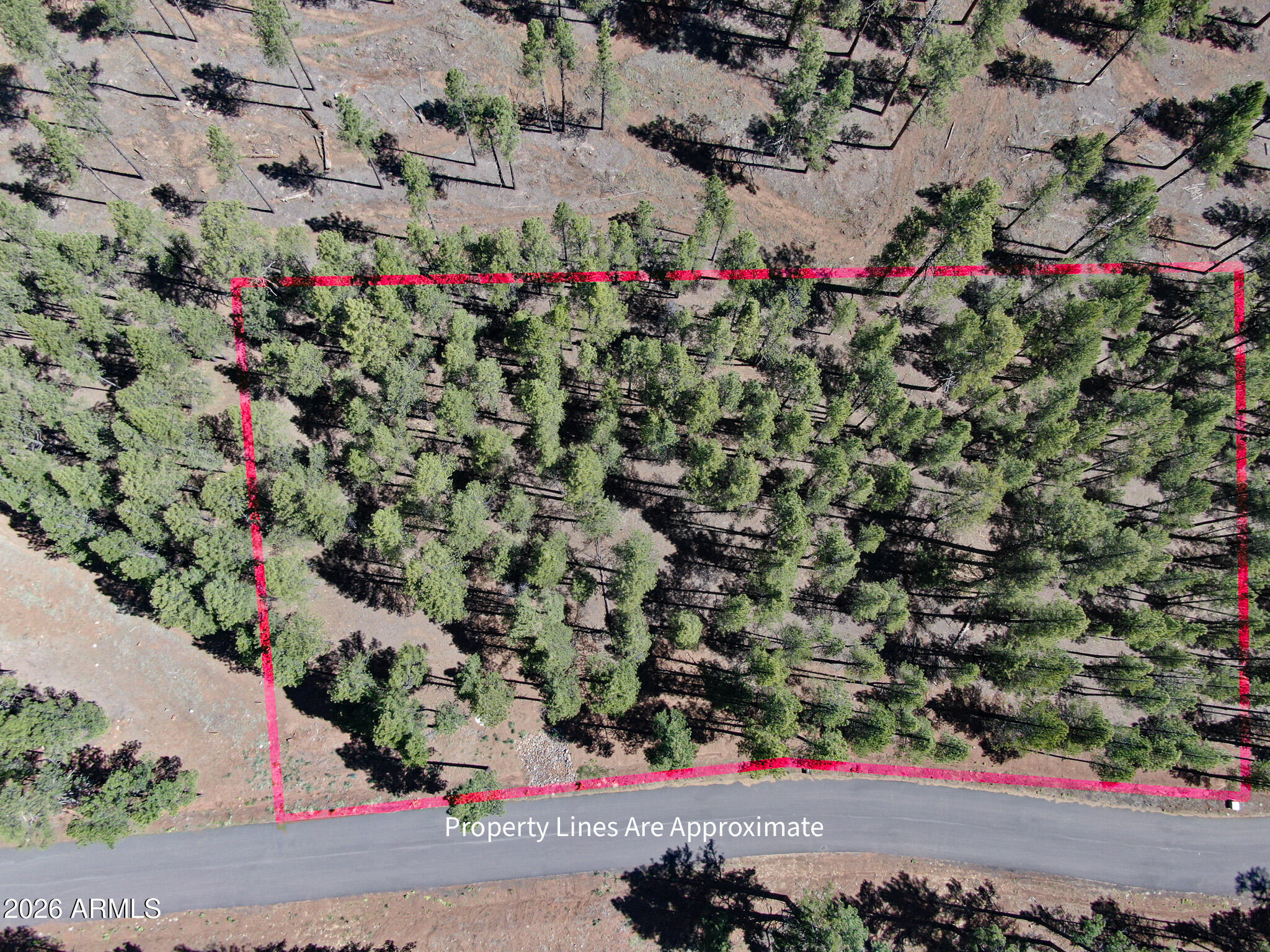 7690 Taylor Spring Lane, Unit 63 Flagstaff, AZ 86001 - Photo 4 of 7 DJI_0287