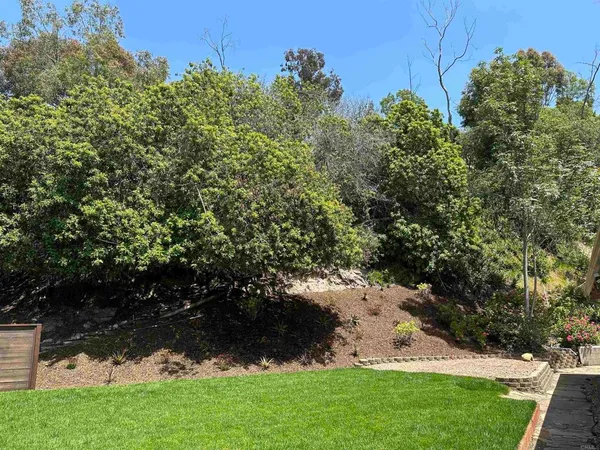 a view of a yard with plants and large trees